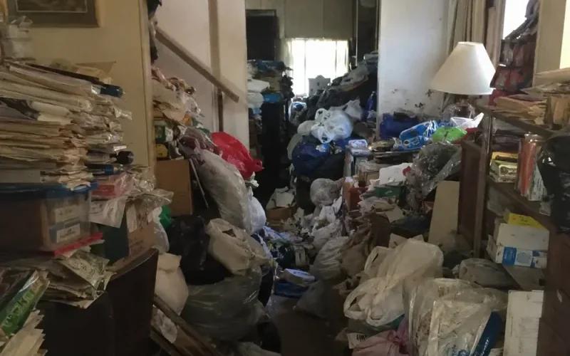 hoarding-cleanup-rnlkrn34xodla5g6lafjnlsl9td3s5bgt81fcf3yb4.webp